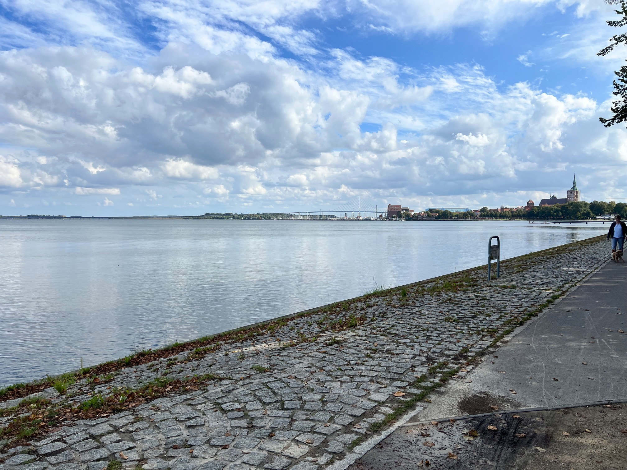 Blick über den Strelasund auf Stralsund und die Rügenbrücke